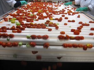 Del Monte Foods - Hanford, CA